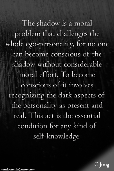 The shadow is a moral problem. C Jung